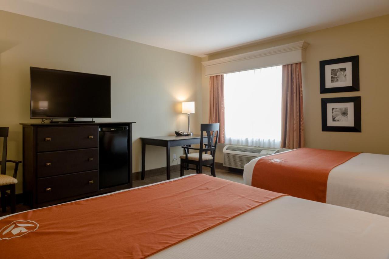 Amsterdam Inn & Suites Sussex Bagian luar foto