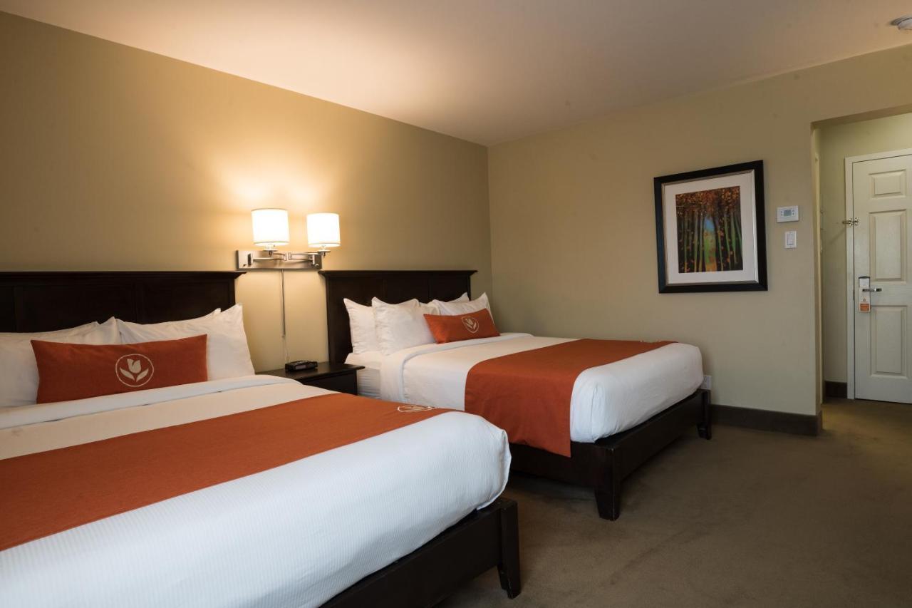 Amsterdam Inn & Suites Sussex Bagian luar foto