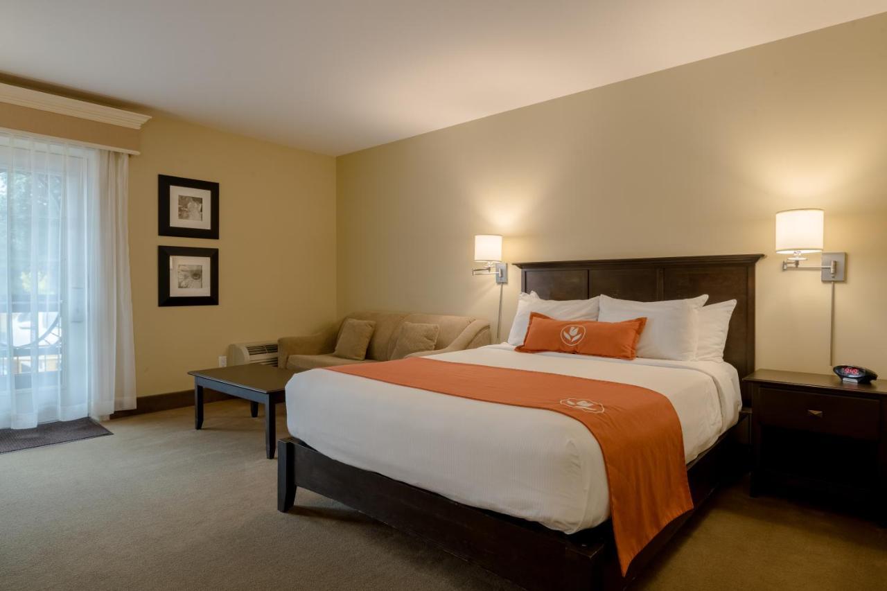 Amsterdam Inn & Suites Sussex Bagian luar foto