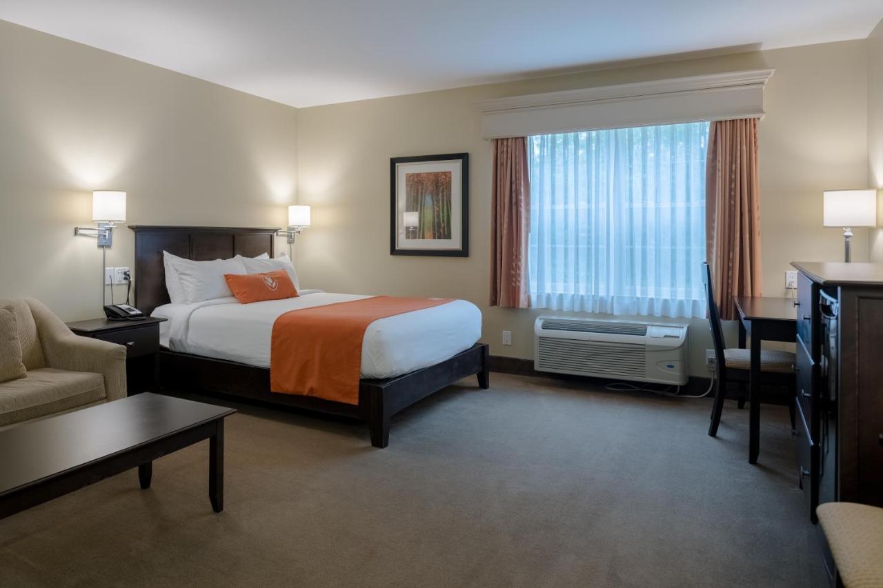 Amsterdam Inn & Suites Sussex Bagian luar foto