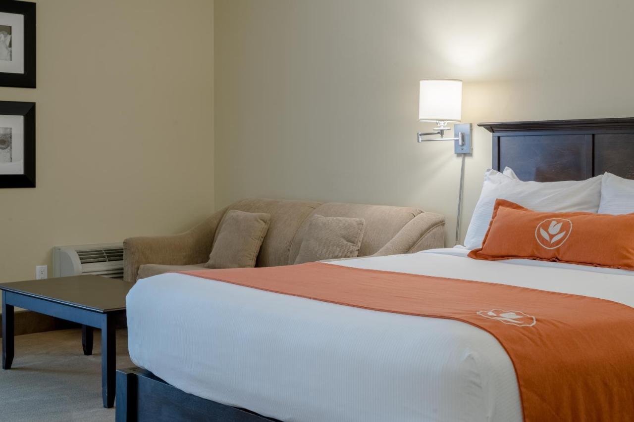 Amsterdam Inn & Suites Sussex Bagian luar foto