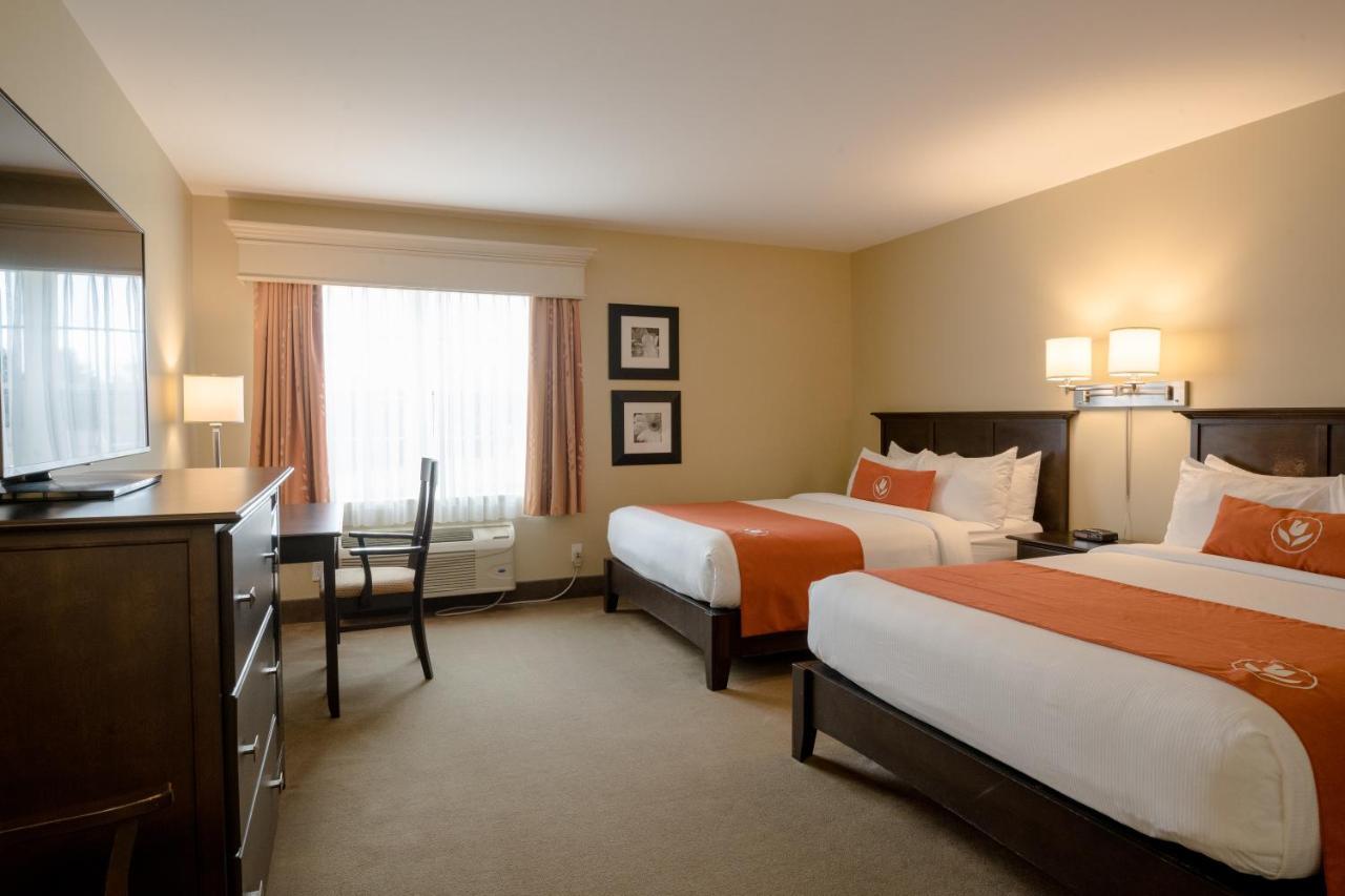 Amsterdam Inn & Suites Sussex Bagian luar foto