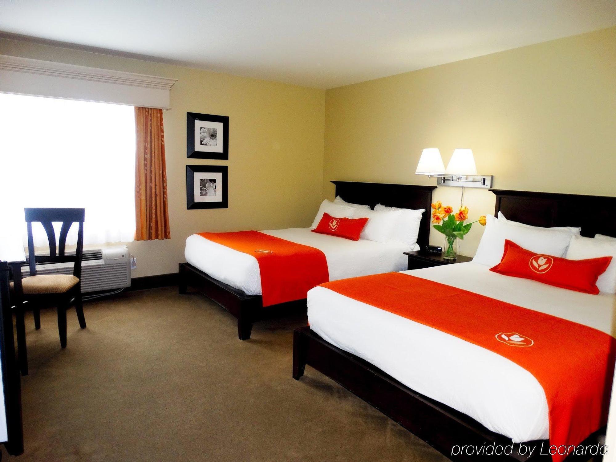 Amsterdam Inn & Suites Sussex Bagian luar foto