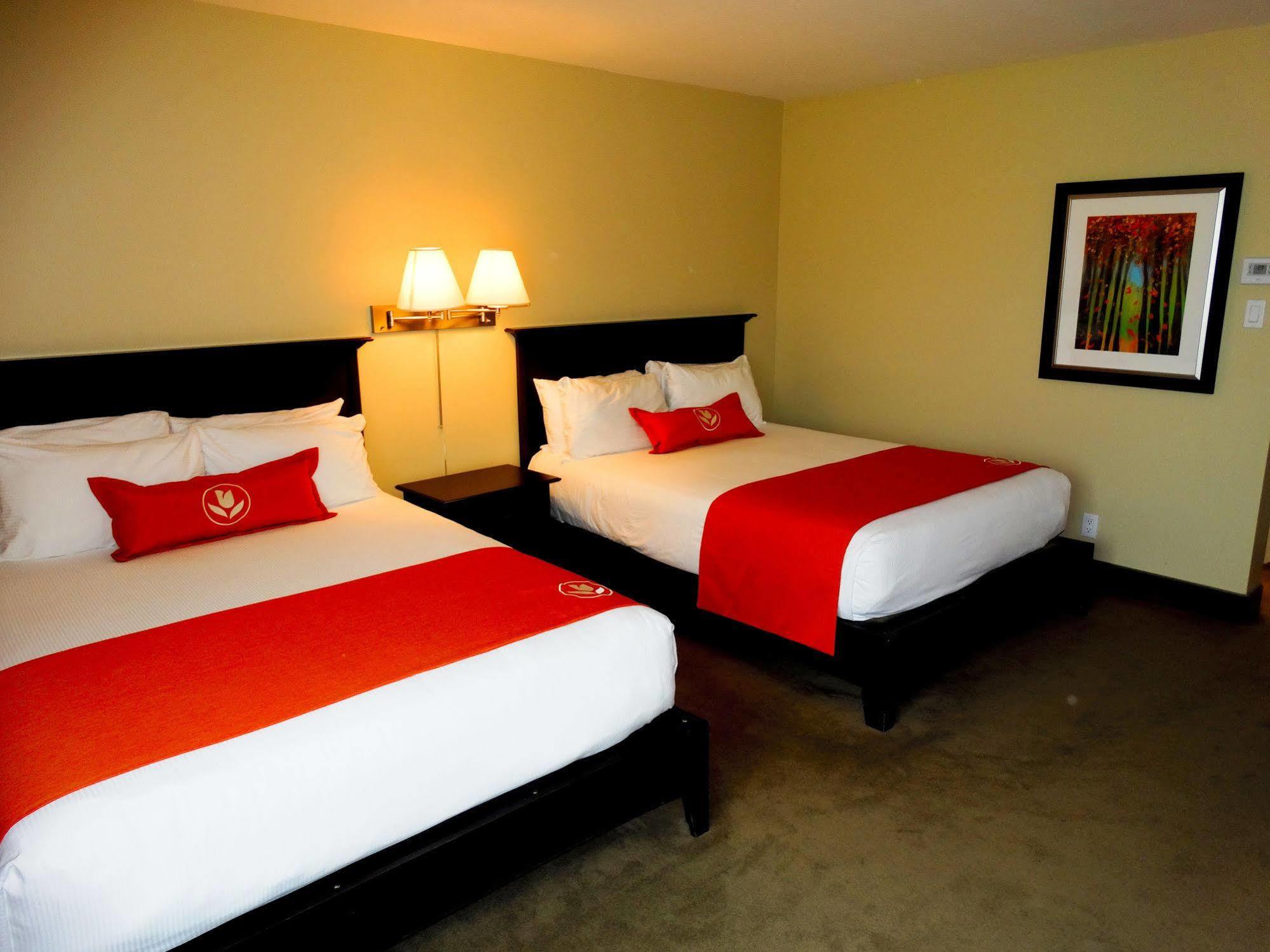 Amsterdam Inn & Suites Sussex Bagian luar foto