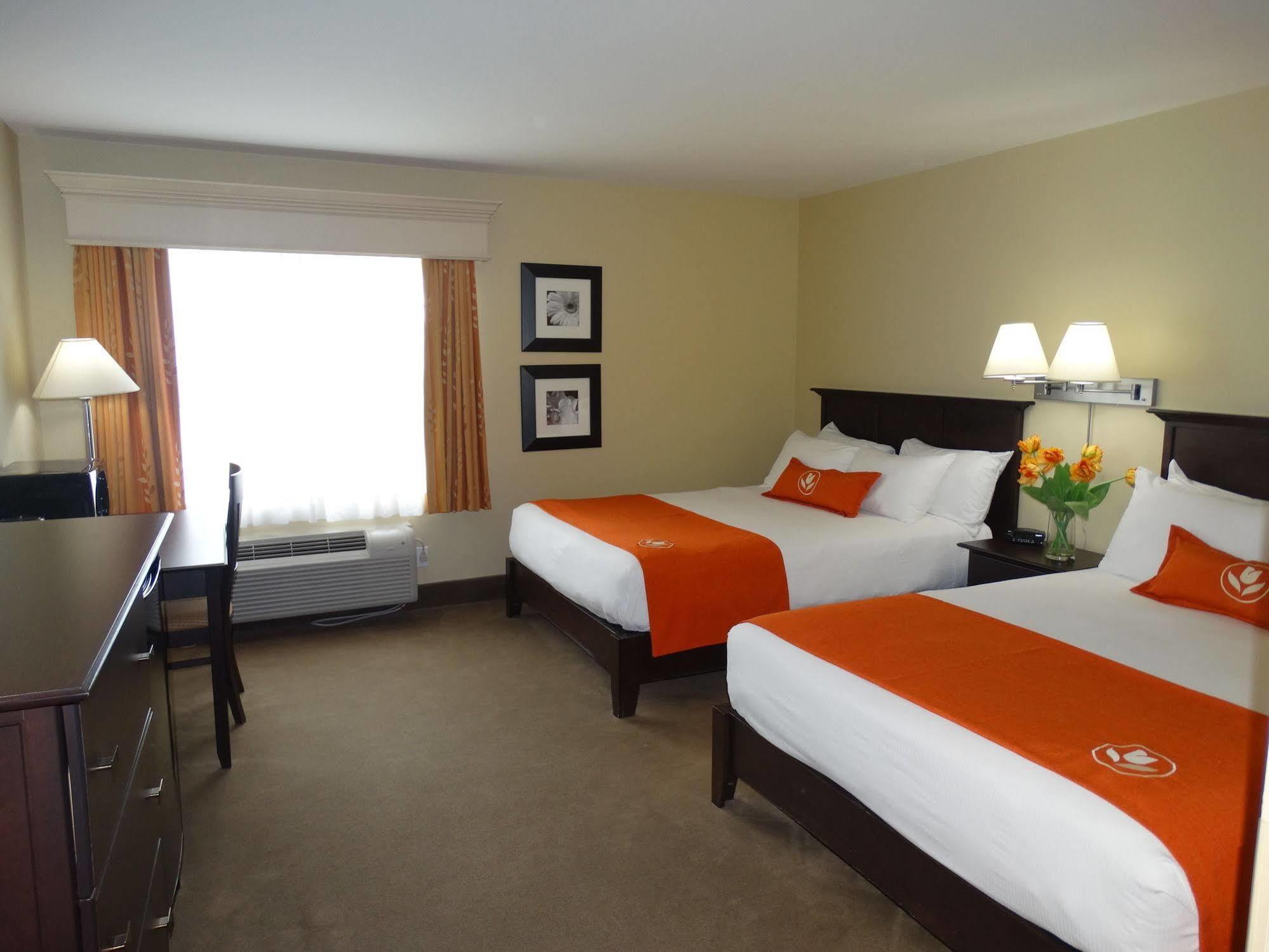 Amsterdam Inn & Suites Sussex Bagian luar foto