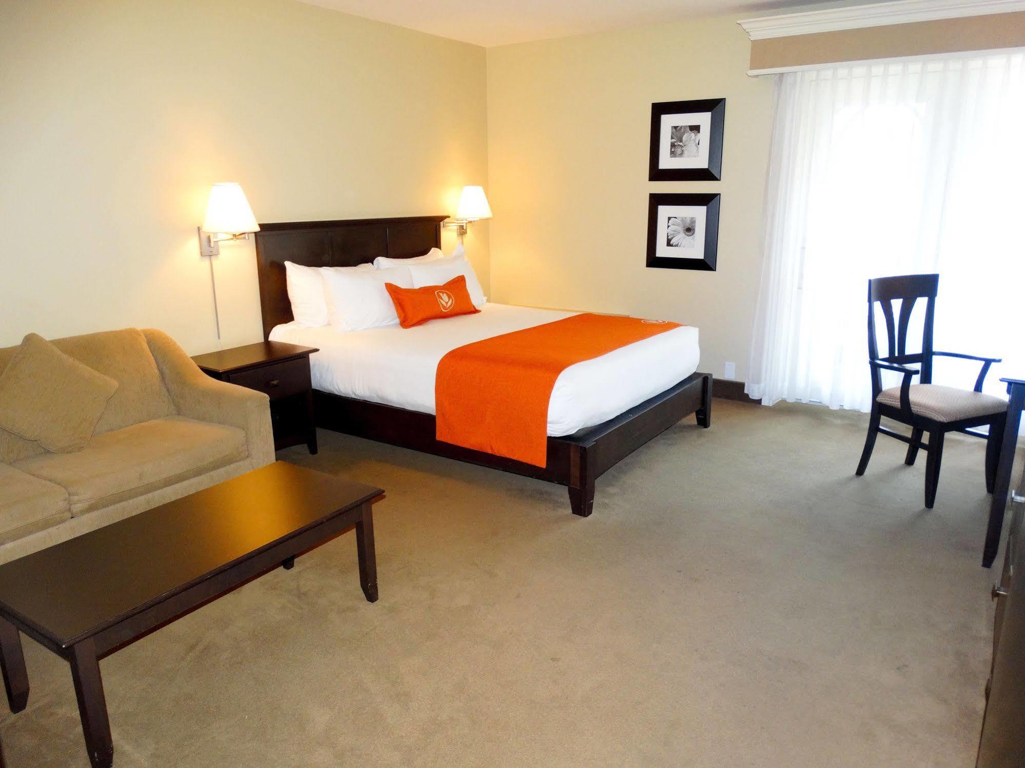 Amsterdam Inn & Suites Sussex Bagian luar foto